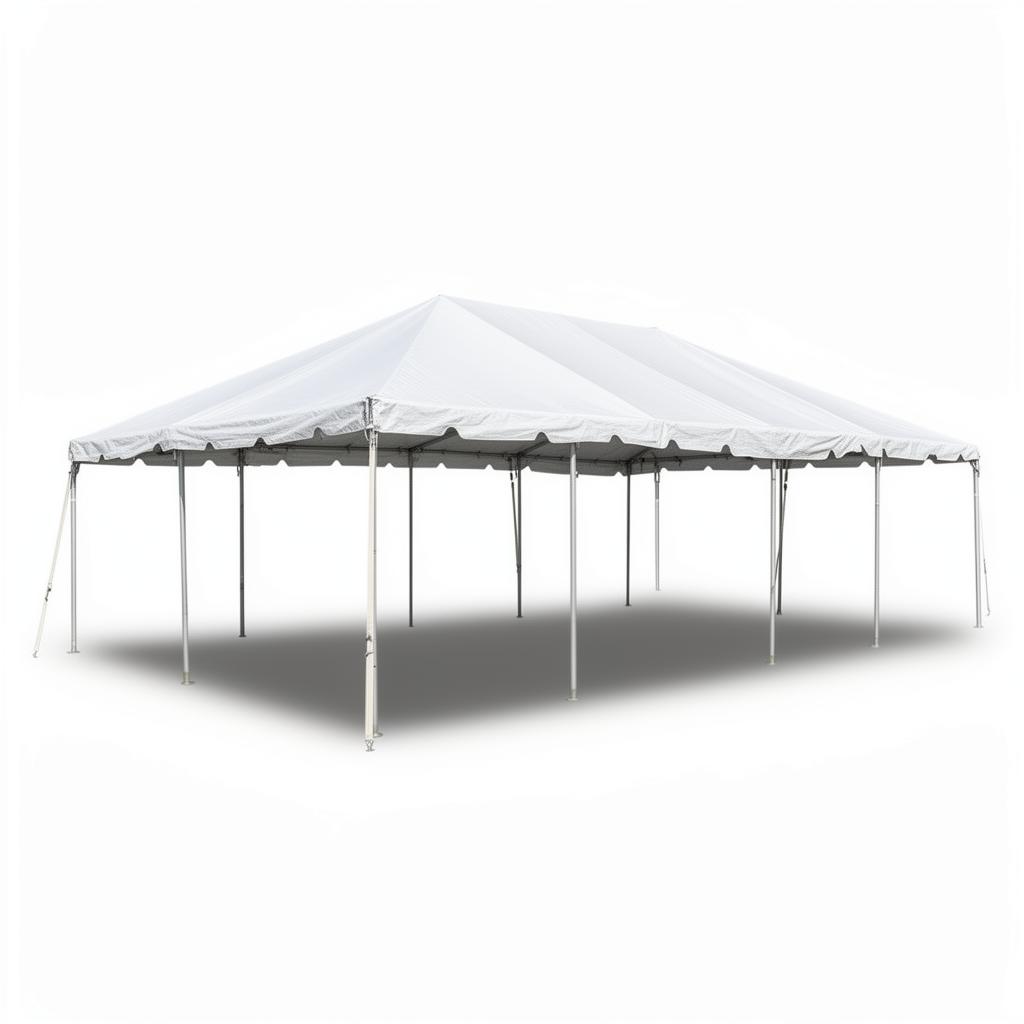 Clear-Span Frame Tent — 20x40